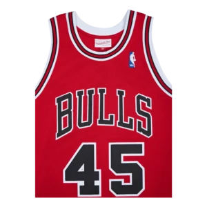 Bulls Authentic 1994 Jordan